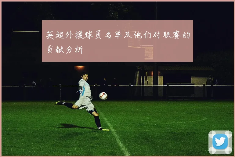 英超外援球员名单及他们对联赛的贡献分析