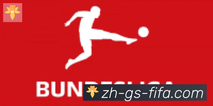 世界杯赛程合作伙伴