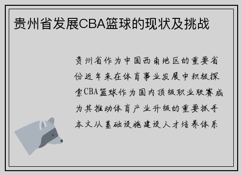 贵州省发展CBA篮球的现状及挑战